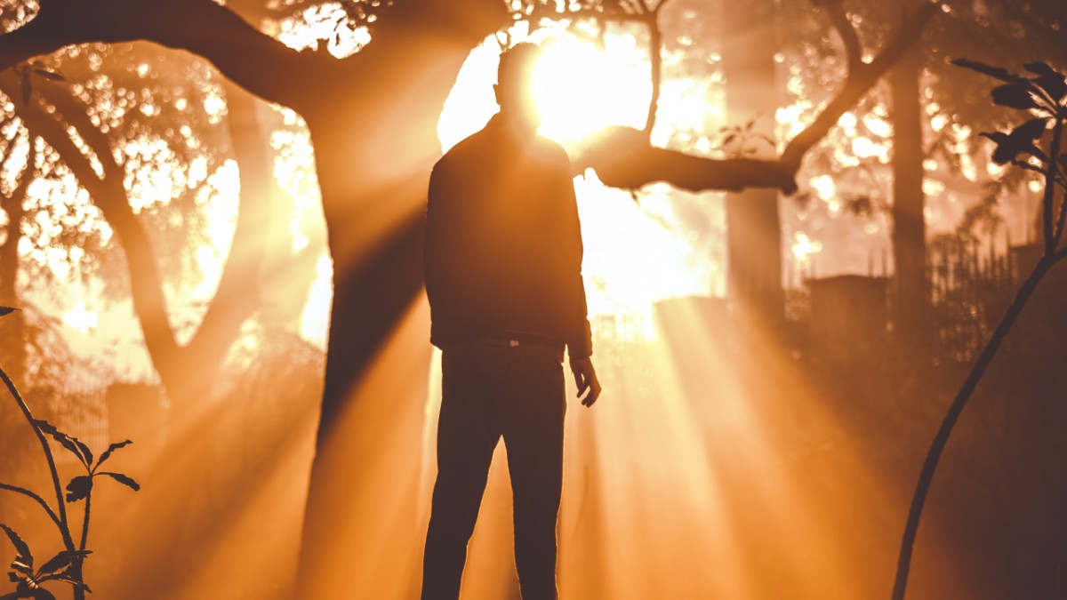 thepositivesideofnegativity