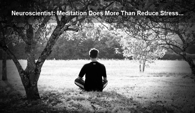 meditation does more than reduce stress
