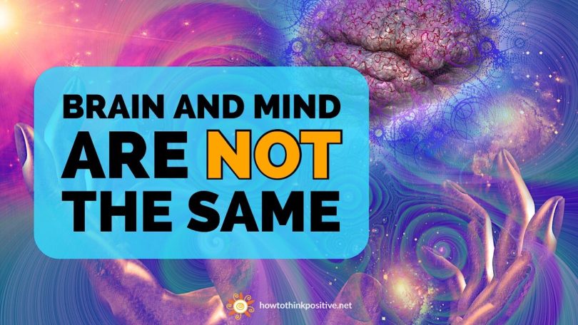 the brain and mind are not the same